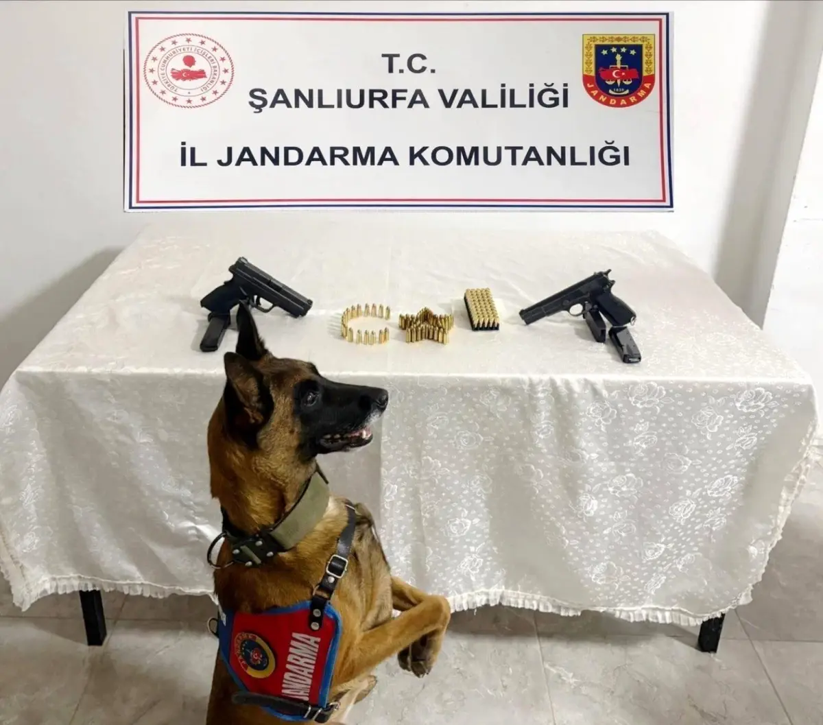 sanliurfada silah kacakciligi operasyonu MWjlmAah.jpg