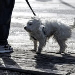 yeni-zelandada-kasirga-kabusu-kirmizi-alarm-verildi-DhEYbbTm