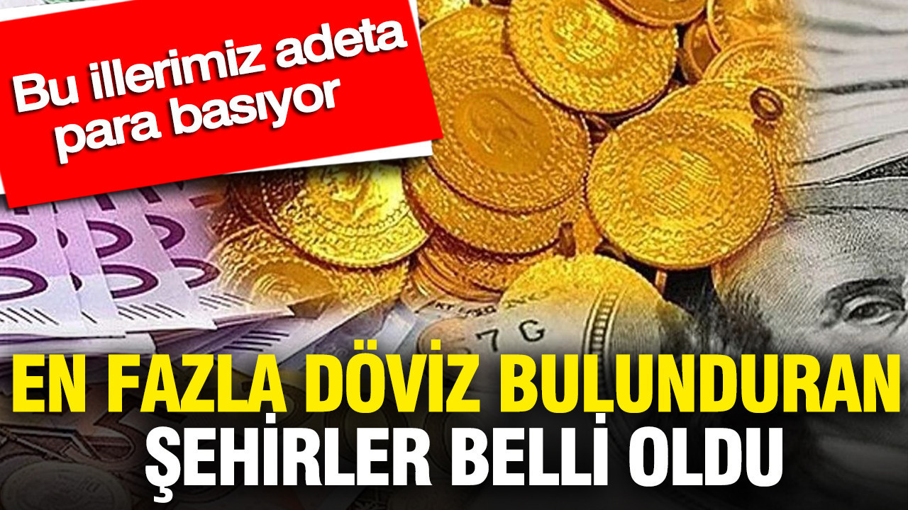 en-fazla-doviz-bulunduran-sehirler-belli-oldu-bu-illerimiz-adeta-para-basiyor-7jsgHCuH